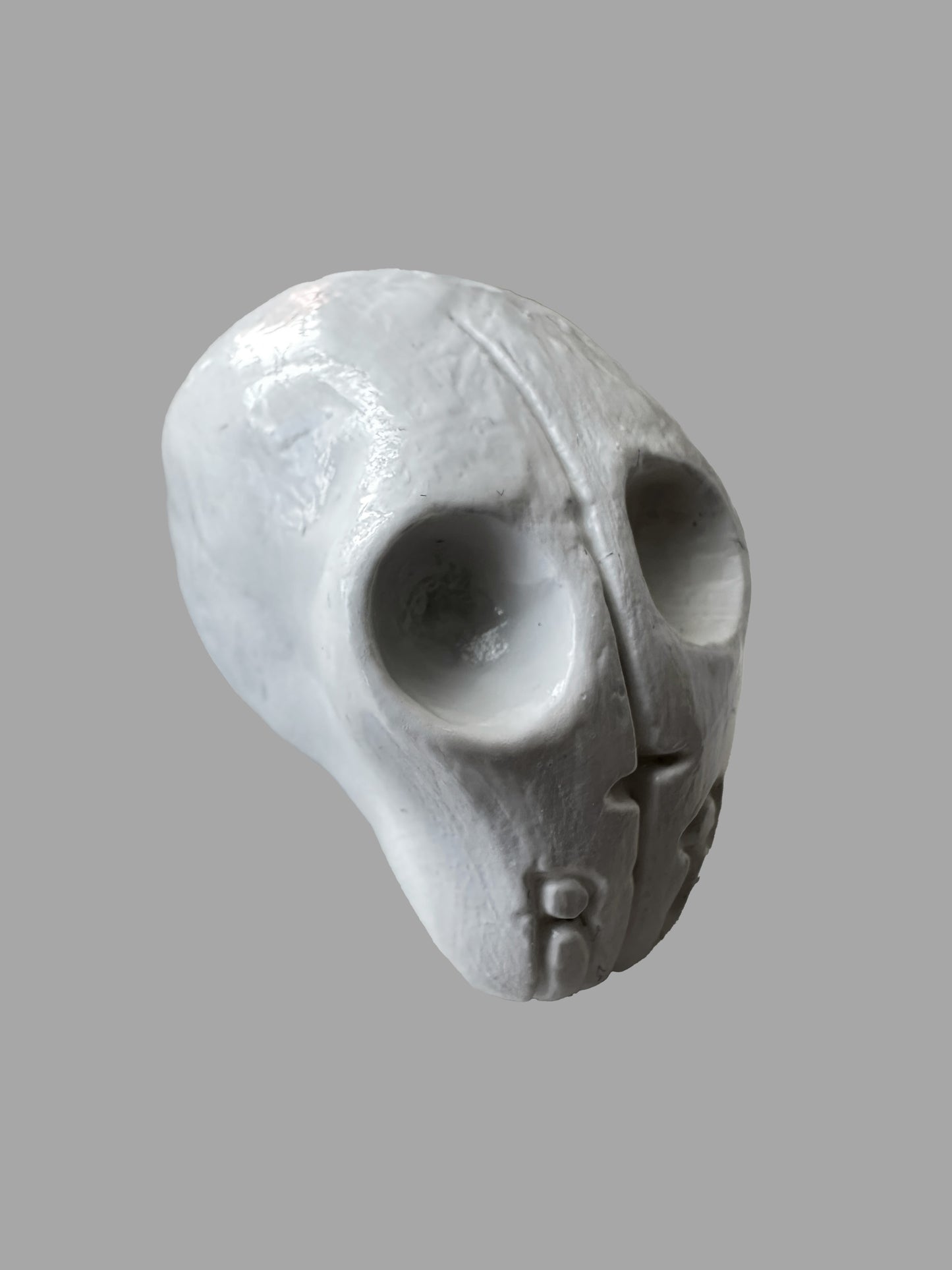 Skull Amulet