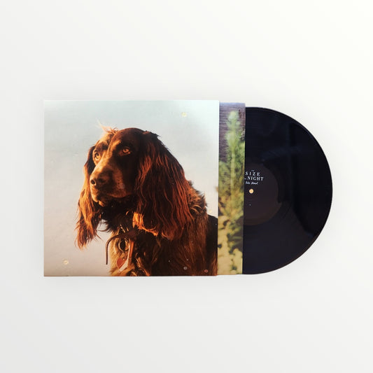 The Size Of The Night (2018) - 12" Vinyl